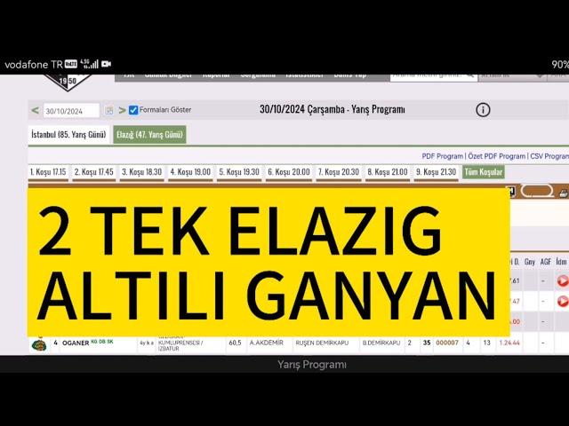 30 Ekim 2024 Çarşamba Elazığ at yarışı tahminleri Elazığ altılı ganyan tahminleri | Oğulcan Karaca