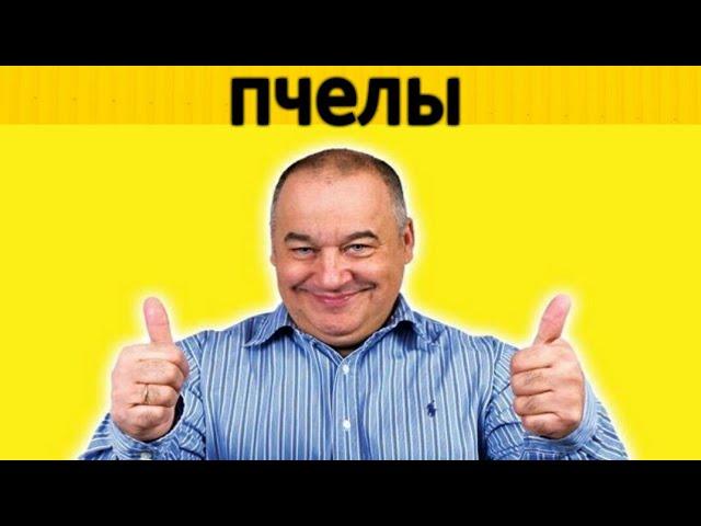 Игорь Маменко - пчелы