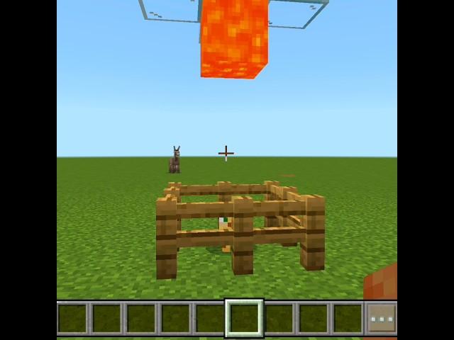 Minecraft Ocelot Logic  #minecraft #memes #gaming #minecraftmemes #vanilla #1million #build #hack