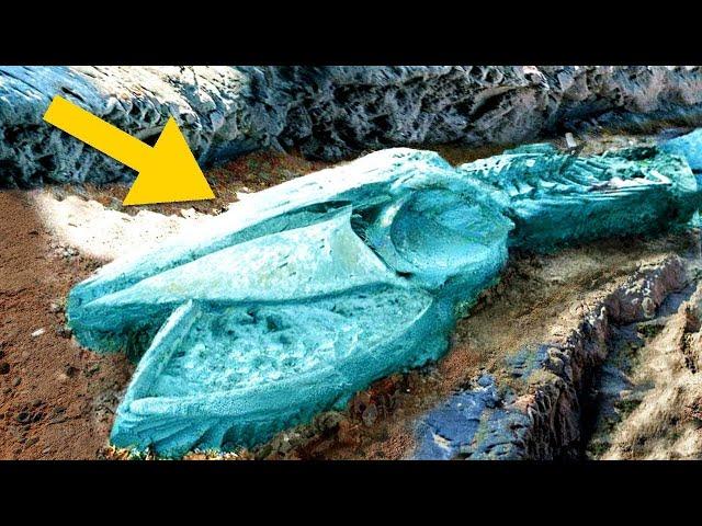 FR 295 Scientists are stunned These strange discoveries are the most controversial