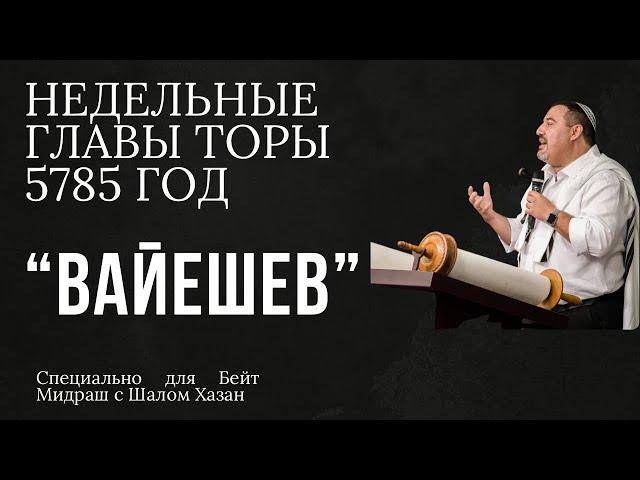 Недельный раздел Торы "Вайешев"