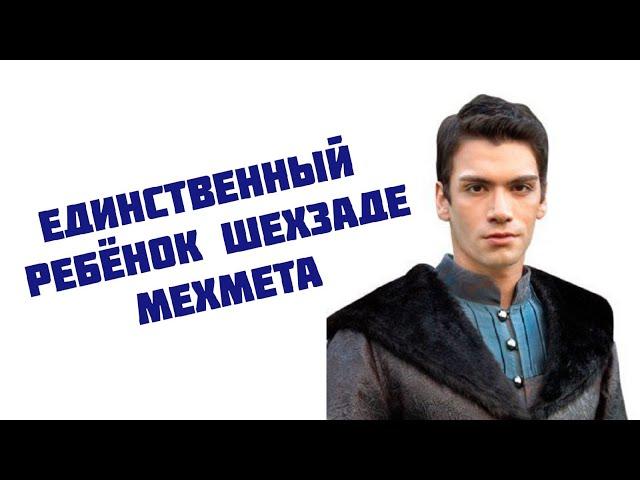 У шехзаде Мехмета был только один ребенок?