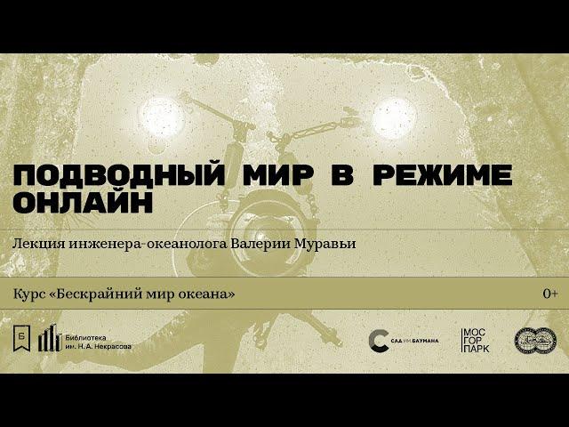 «Подводный мир в режиме онлайн». Лекция инженера-океанолога Валерии Муравьи