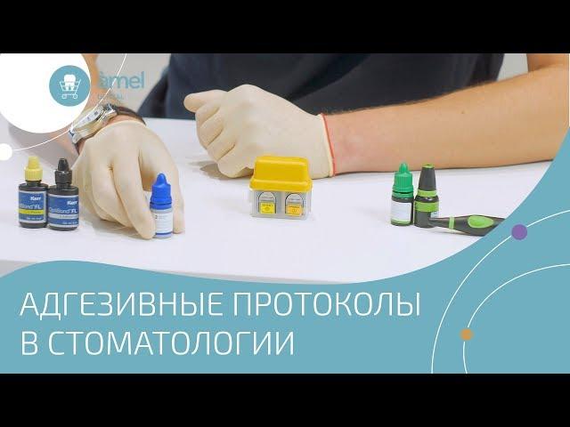 Адгезивные системы в стоматологии. Протоколы. Виды. Отличия. Составы. Bauers Dental Store