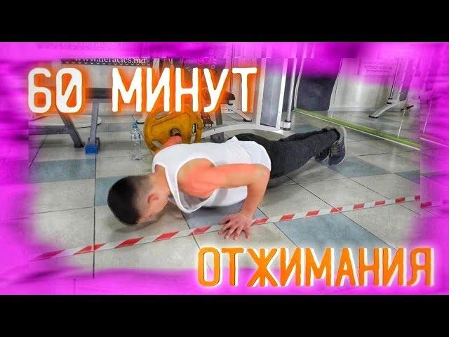 ЧТО БУДЕТ , ЕСЛИ ОТЖИМАТЬСЯ 60 МИНУТ?