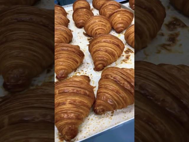 KRUASSAN OʻZBEKISTON N:1 #круассаны #croissant #mazalitaomlar #shirinliklar #tortlar #mrakhmedov