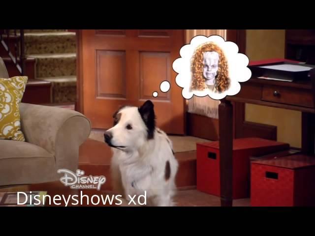 Dog With A Blog Pod People From Pasadena Full Episode HD