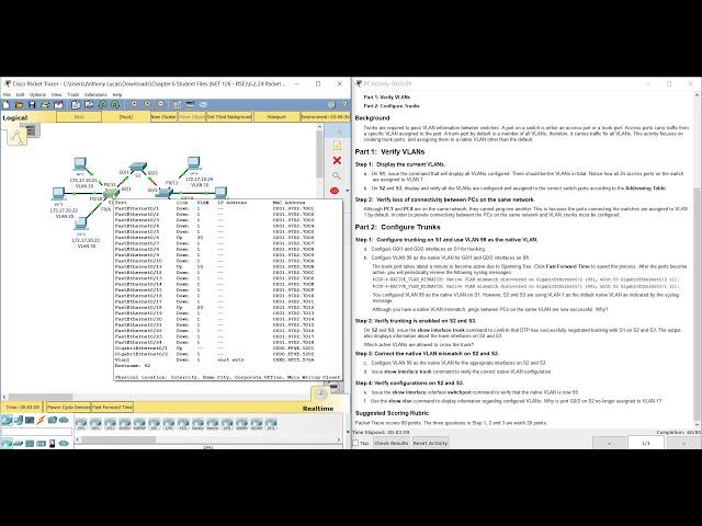 PKT 6.2.2.4 - Configuring Trunks