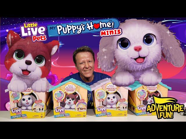 6 Little Live Pets My Puppy’s Home Minis! Build Home & Puppy Magically Arrives Toy Adventure Fun!