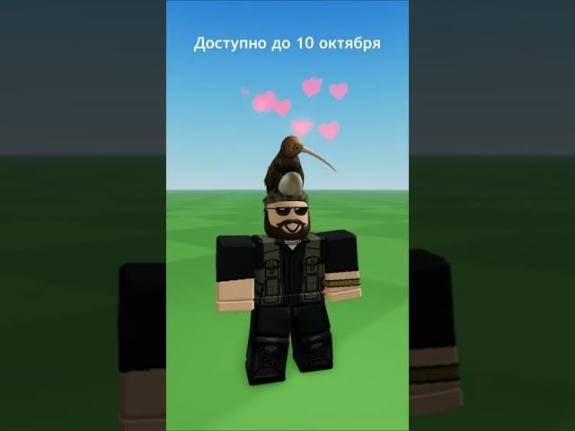 Новый БЕСПЛАТНЫЕ Вещи в  ROBLOX с Эффектами 