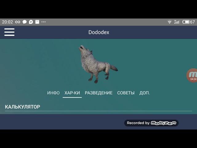лютоволк / ark survival evolved