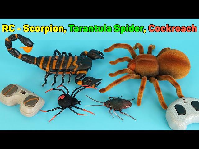 Scorpion, Tarantula Spider And Crawling Cockroach - Remote Control RC | Unboxing & Review