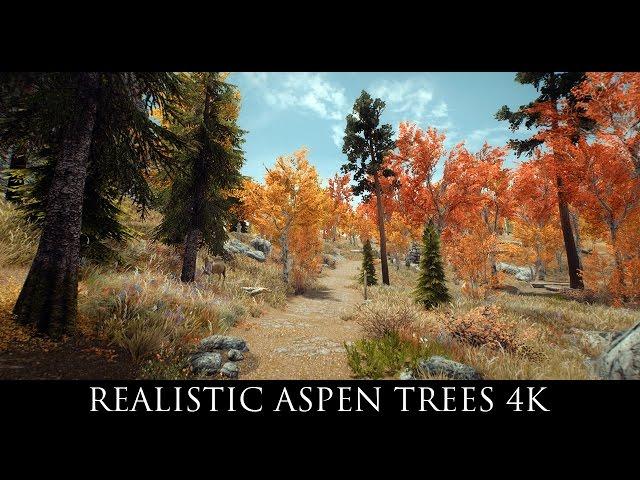 Skyrim SE Mods: Realistic Aspen Trees SE 4k