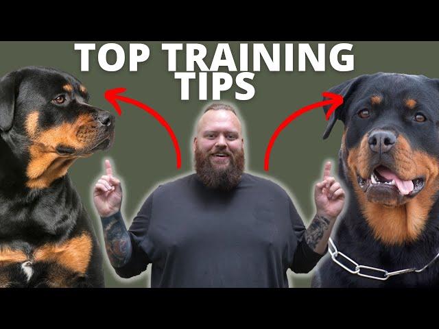 3 TIPS FOR TRAINING YOUR ROTTWEILER