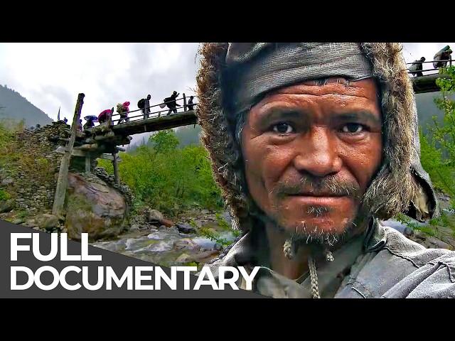 The Organic Gold Hunters of the Himalayas | Free Documentary