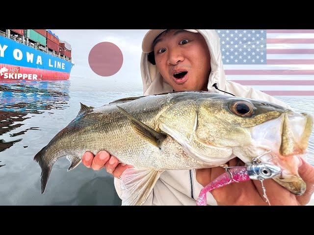 Fishing Under HUGE Japanese Cargo Ships | Americans Try Fishing in Japan (part 3)