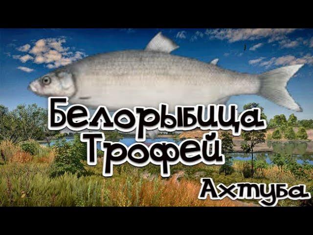 РР4 / Белорыбица / Трофей / Ахтуба