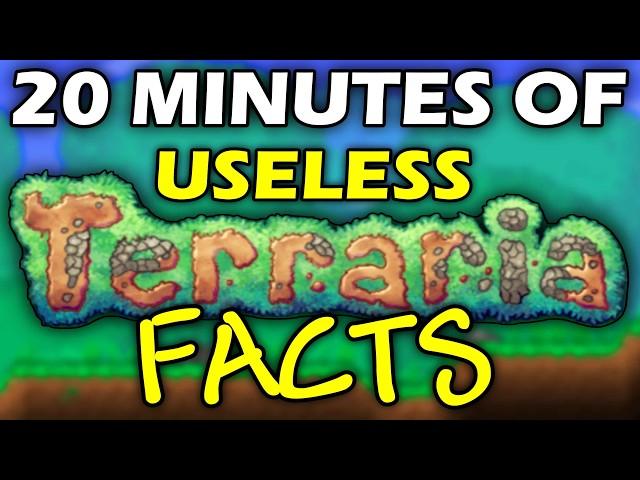 20 Minutes Of Useless Terraria Facts