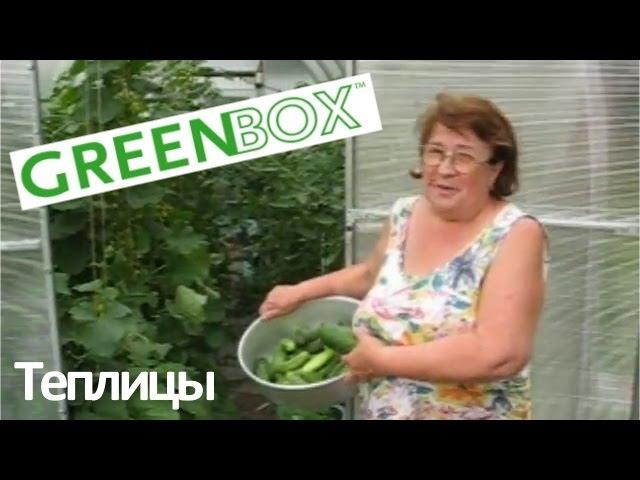 Недорогая теплица из поликарбоната GreenBox