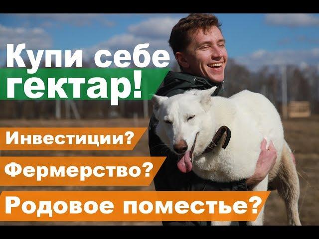 Купи себе гектар! Зачем нужны большие участки?