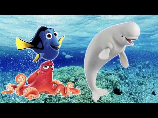 Finding Dory Finger Family Song for Babies