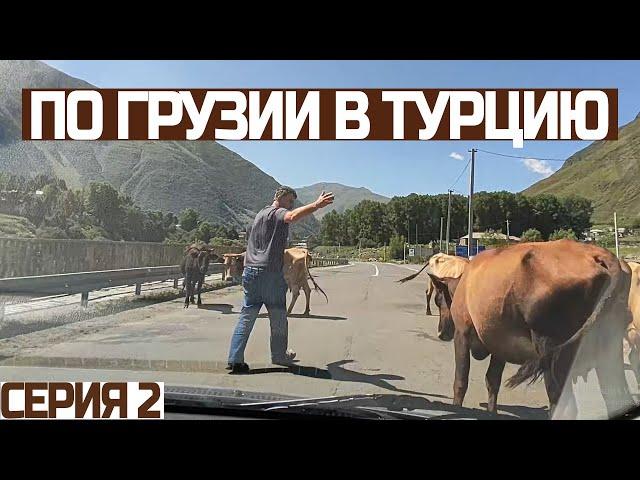 В ТУРЦИЮ ЧЕРЕЗ ГРУЗИЮ! Вся Грузия за 1 день (Georgia). Граница Сарпи - Хопа