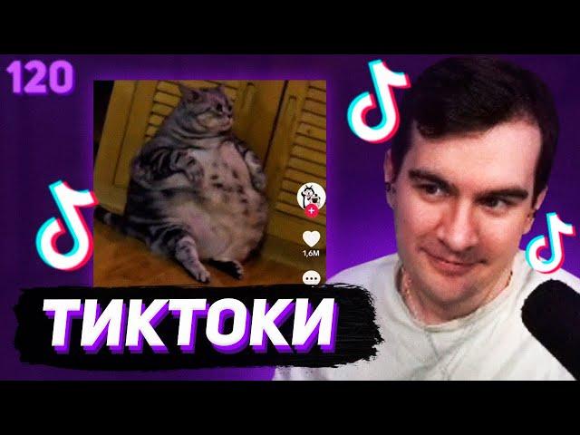 БРАТИШКИН СМОТРИТ - ТИКТОКИ #120