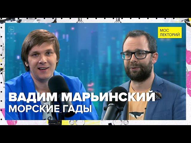 Все о морских созданиях | Вадим Марьинский Лекция 2024 | Мослекторий