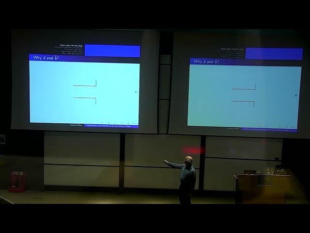 Lorenzo Sadun - Deformations and dynamics of the Hat family of tilings - Hatfest