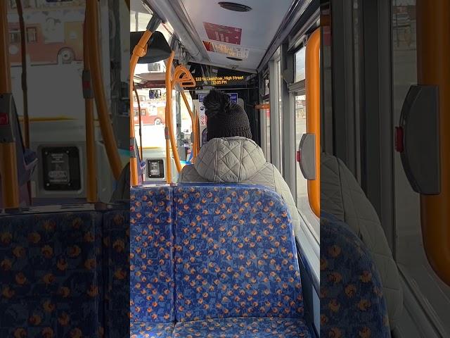 122 to ...... Lewisham, High Street (ibus)