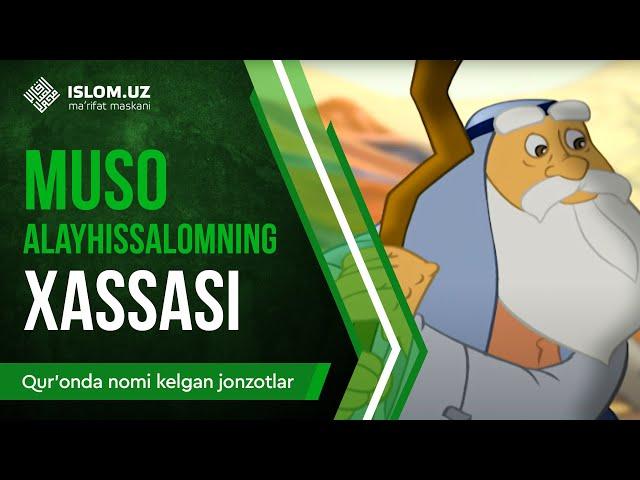 11. Muso alayhissalomning hassasi (1-qism) | Qur'onda nomi kelgan jonzotlar