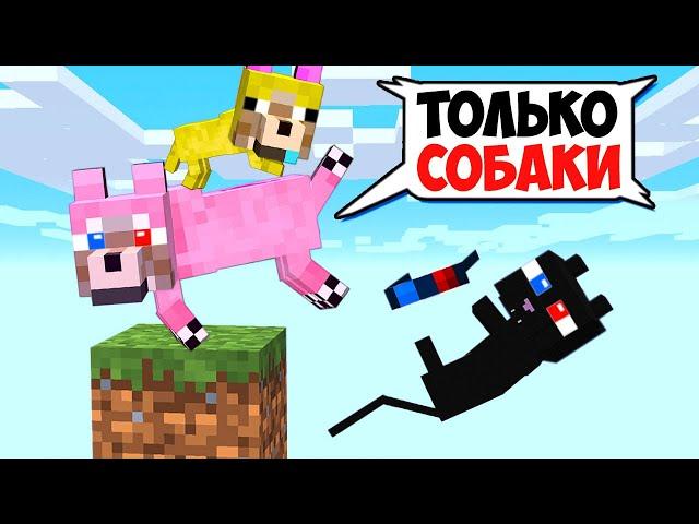 ОДИН БЛОК НО ОН ТОЛЬКО ДЛЯ СОБАК В МАЙНКРАФТ! ШЕДИ ЛЕСКА И НУБИК КОТ MINECRAFT