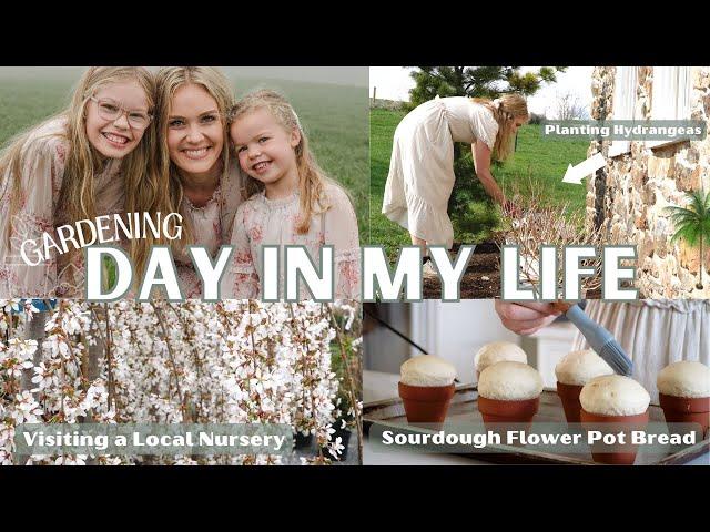 NEW Day in my Life/ Sourdough Flower Pot Bread, Planting Hydrangeas, Matching Dresses,  Gardening