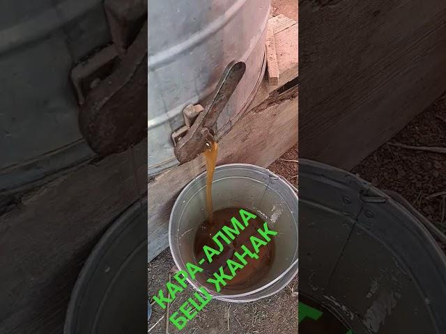 18 мая 2025 г.