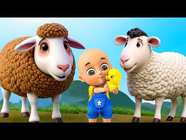 Baa Baa Brown & Black Sheep New Compilation | Old MacDonald | Nursery Rhymes & Kids Songs |Baby Bobo