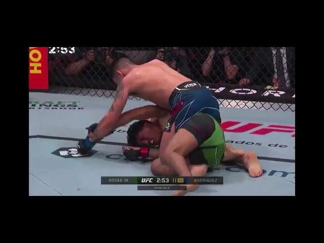 UFC 287 RAUL ROSA JR X CHRISTIAN RODRIGUEZ