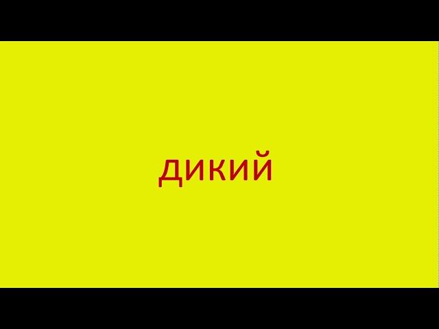 816 Как произнести слово дикий How to pronounce the word wild in Russian Russian pronunciation