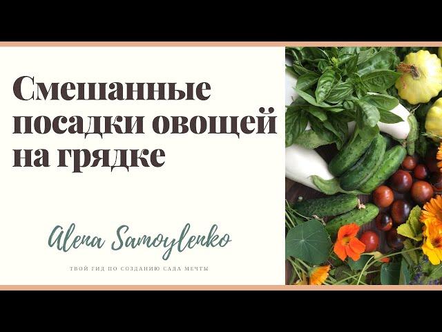 Смешанные посадки овощей на грядке. Сведение к минимуму ущерба от вредителей.