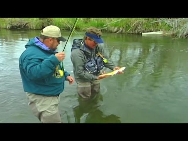 Fly Fishing Montana - Beaverhead River