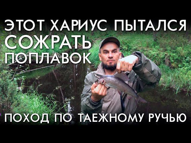 ЭТОТ ХАРИУС ПЫТАЛСЯ СОЖРАТЬ ПОПЛАВОК / ПОХОД ПО ТАЕЖНОМУ РУЧЬЮ / РЫБАЛКА 2020