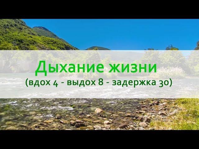 Дыхание жизни (вдох 4 - выдох 8 - задержка 30) на природе