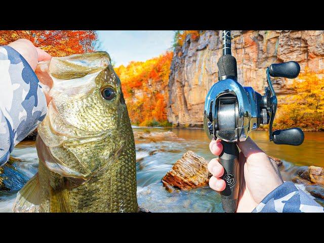 Chasing Down GIANT Bass In The COLD Weather (Big Bites)