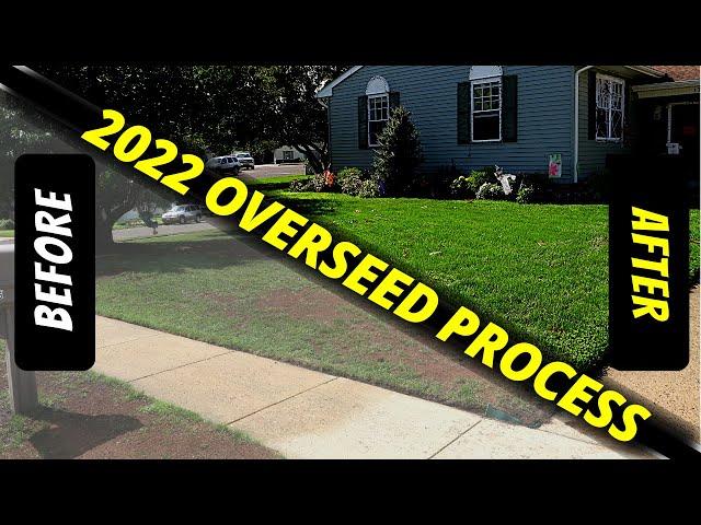 Easiest Overseed Process #trusttheprocess #overseed #diylawncare #overseeding #grassseed #fescue