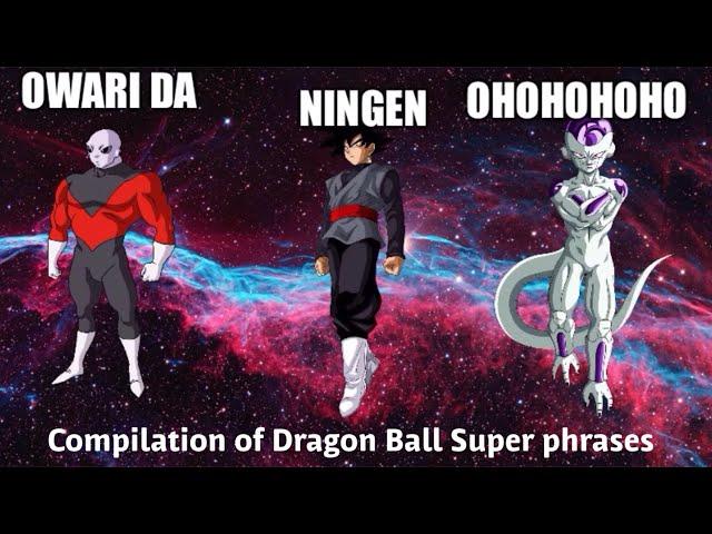 Compilation of overused Dragon Ball Super phrases