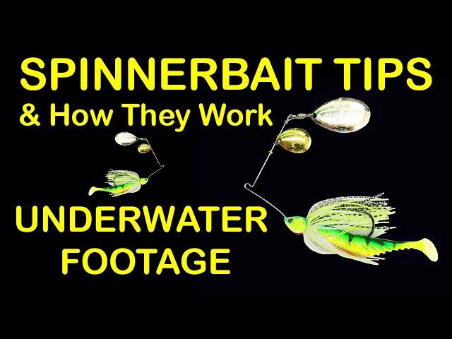 Spinnerbait Fishing Lure Tips and How to Fish Spinnerbaits (Underwater Footage)