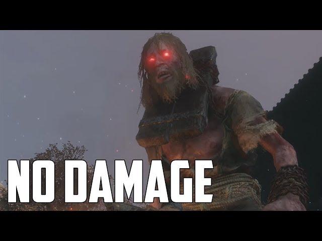 Sekiro: Shadows Die Twice - All Mini-Bosses [No Damage]