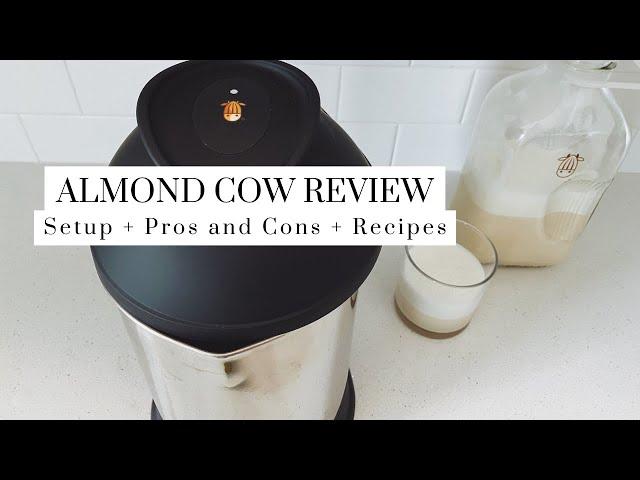 Almond Cow Full Honest Review + Easy Recipes