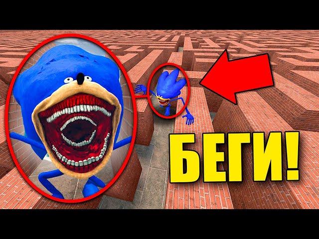 СОНИК ПОЖИРАТЕЛЬ В ЛАБИРИНТЕ! МРАЧНЫЙ МИР СОНИКА В Garry`s Mod