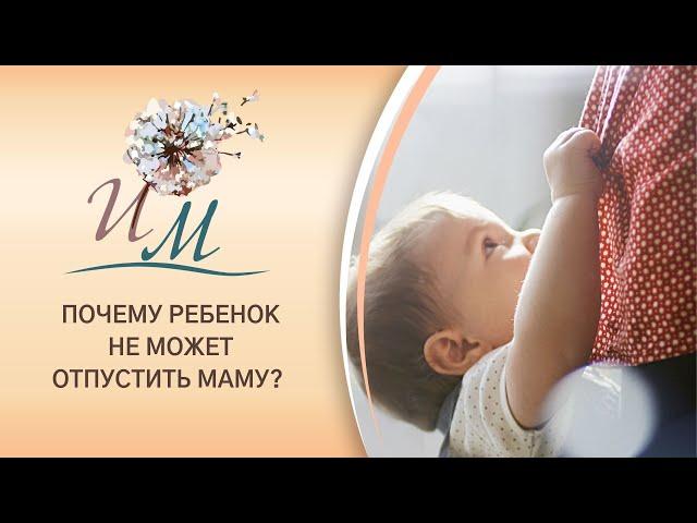 Почему ребенок не может отпустить маму? Интуитивное Материнство