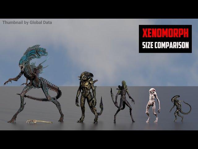 XENOMORPH Size comparison 3D | Alien Xenomorph 3d Animation Size Comparison